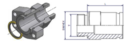 F37 Parflange